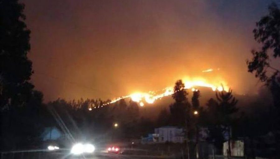 Onemi declara Alerta Roja en provincia de Arauco tras incendio forestal en Cañete