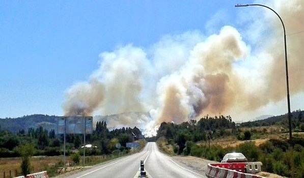 Informan que incendio forestal de Santa Juana se encuentra fuera de control y que ha destruido viviendas