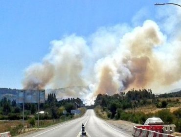 Informan que incendio forestal de Santa Juana se encuentra fuera de control y que ha destruido viviendas