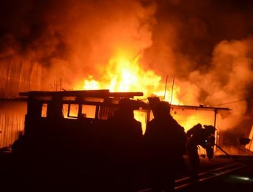 Incendio mató 30 caballos del Club de Huasos de Peñalolén