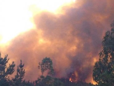 Concepción: Incendio en Santa Juana estaría amenazando a 60 viviendas aledañas