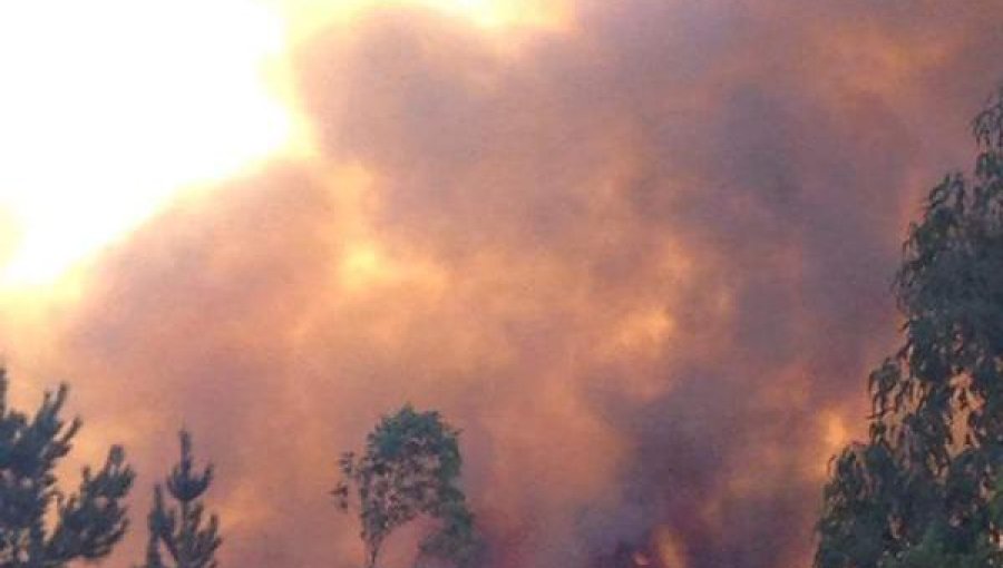 Concepción: Incendio en Santa Juana estaría amenazando a 60 viviendas aledañas