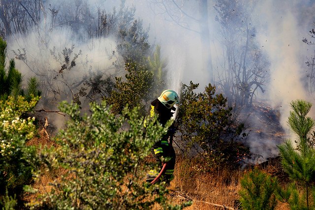 Decretan alerta roja en Malleco, Región de La Araucanía, por incendios forestales