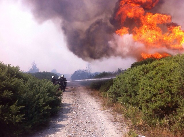 Más de una decena de incendios activos ocupan el trabajo de brigadistas en zona centro sur del país