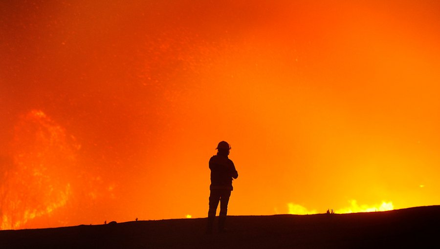 Mujer de 60 años murió asfixiada por el gigantesco incendio que afecta a Valparaíso y Viña del Mar