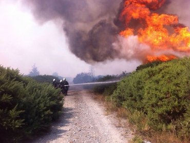 Más de una decena de incendios activos ocupan el trabajo de brigadistas en zona centro sur del país