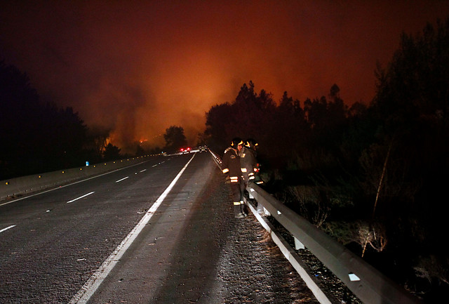 Ministerio del Interior entrega balance de Incendio: 300 hectáreas consumidas y un fallecido