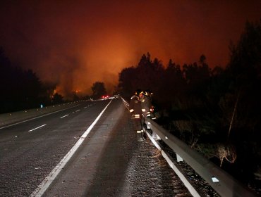 Conaf alerta sobre 43 incendios activos a lo largo del país