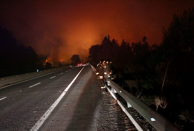 Conaf alerta sobre 43 incendios activos a lo largo del país