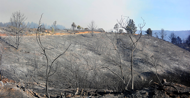 Intendencia de Valparaíso: “El incendio fue intencional”