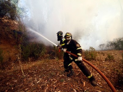 Región de La Araucanía: Intendencia decretó Alerta Roja en Melipeuco por incendio forestal