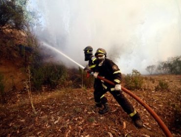 Región de La Araucanía: Intendencia decretó Alerta Roja en Melipeuco por incendio forestal