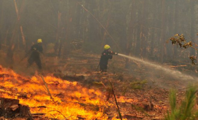 Incendio en Puerto Octay afecta a predio de Compañía Manufacturera de Papeles y Cartones CMPC