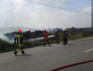 Detienen a hombre de 60 años por iniciar quema de pastizales en Puerto Montt