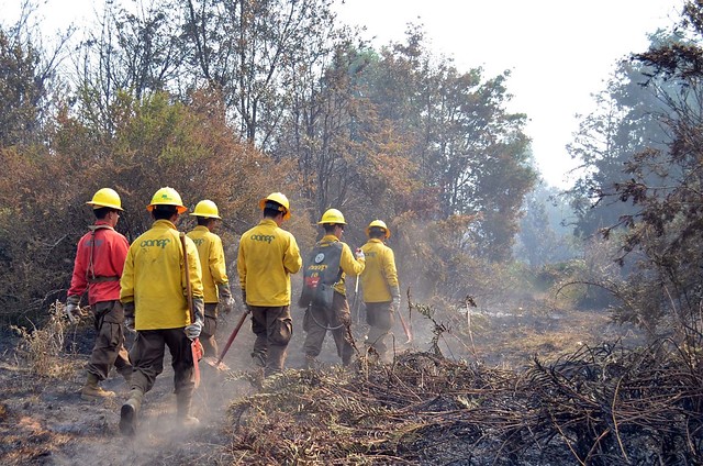 Conaf asegura que paro de brigadistas no afectará en combate contra incendios