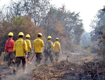 Conaf asegura que paro de brigadistas no afectará en combate contra incendios