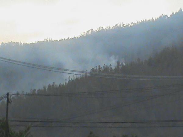 Incendio forestal en Chiguayante afecta al cerro Manquimávida