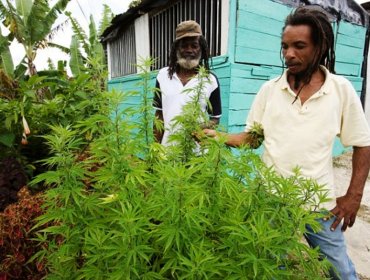 Jamaica busca liderar debate internacional sobre despenalización de marihuana