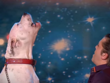 Video: Perrita sorprende en concurso de talentos al intentar cantar como Whitney Houston