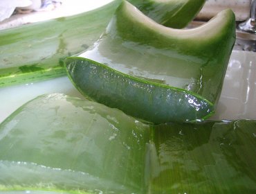 Propiedades para cuidar tu piel con pepino y aloe vera