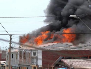 Incendio en Arica afecta a cuatro casas dejando a diez damnificados