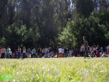 Anuncian cierre de Jardín Botánico de Viña del Mar ante convocatoria de fiesta mechona