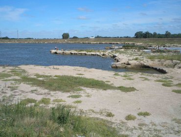 Decretan Alerta Amarilla en Calama por aumento del caudal del río Salado