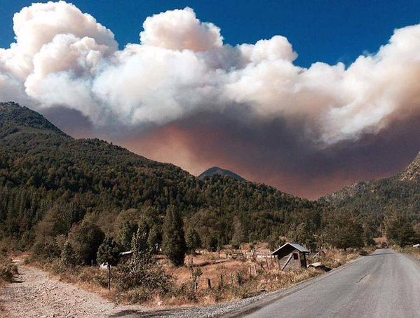 Continúa descontrolado incendio forestal en la reserva China Muerta de Melipeuco