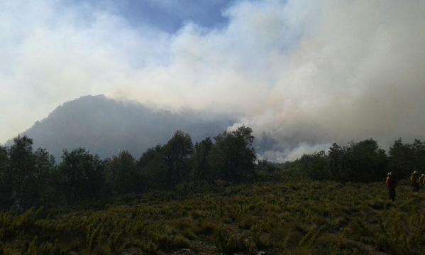 Conaf confirma que incendio en Reserva Ñuble del Biobío se encuentra contenido