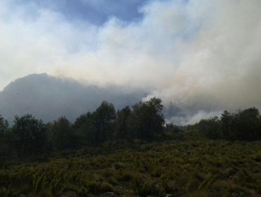 Conaf confirma que incendio en Reserva Ñuble del Biobío se encuentra contenido