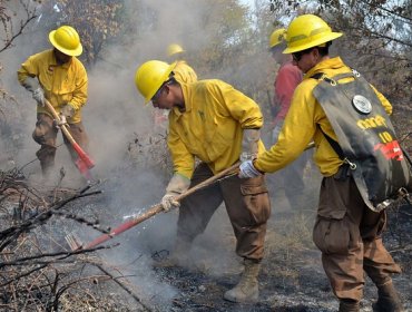 Sindicato de Brigadistas de Conaf logran acuerdo y ponen fin a conflicto