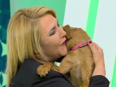 El futuro reemplazante de Pamela Jiles en “Intrusos”