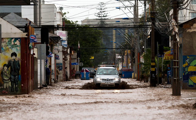 Perito del Sernageomin informa que Copiapó está colapsada en 100% por el aluvión