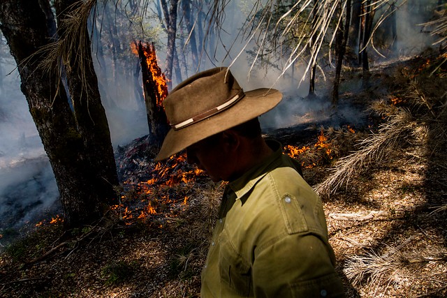 Nombran fiscal especializado para que investigue el incendio forestal en la reserva China Muerta