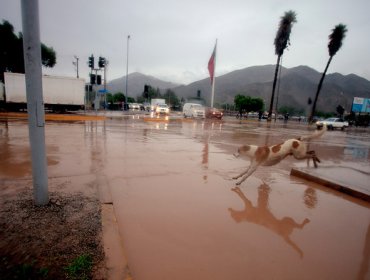 Galería: Estas fueron las impactantes consecuencias del desborde del Río Copiapó