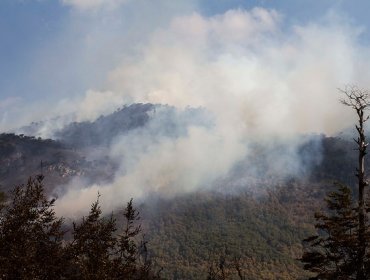 Gobierno decreta zona de catástrofe en tres comunas de La Araucanía por incendios forestales