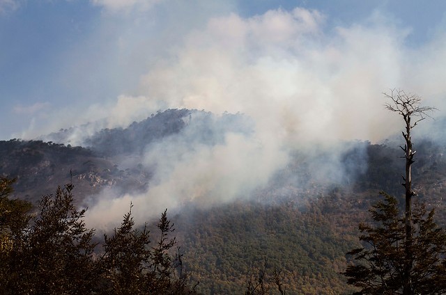 Gobierno decreta zona de catástrofe en tres comunas de La Araucanía por incendios forestales