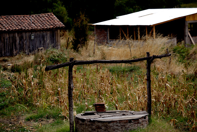 Agricultores de región de Los Ríos califican de insuficiente medidas del gobierno por sequía