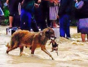 Fotos: Las emocionantes y esperanzadoras imágenes tras la tragedia en el norte