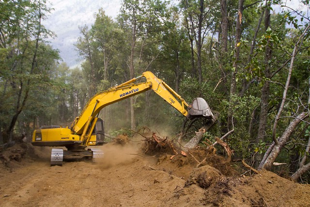 Más de seis mil hectáreas de bosque nativo se han visto afectadas en La Araucanía por incendios