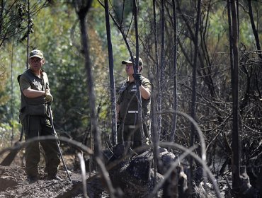 Autoridades decretan alerta roja en Puerto Varas por incendio forestal