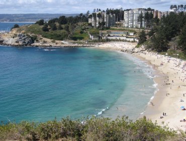 Decretan Alerta Roja en comuna de Algarrobo por incendio forestal