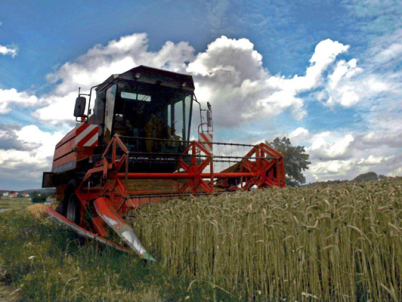 Hombre murió desangrado luego de amputación producida por máquina agrícola