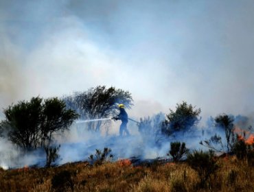 Declaran Alerta Amarilla en la región de Valparaíso por incendios forestales