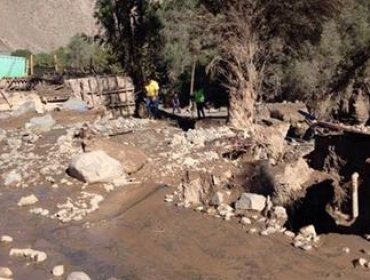 Trabajadora de frutícula Atacama relata la dura situación que vivieron encerradas en container