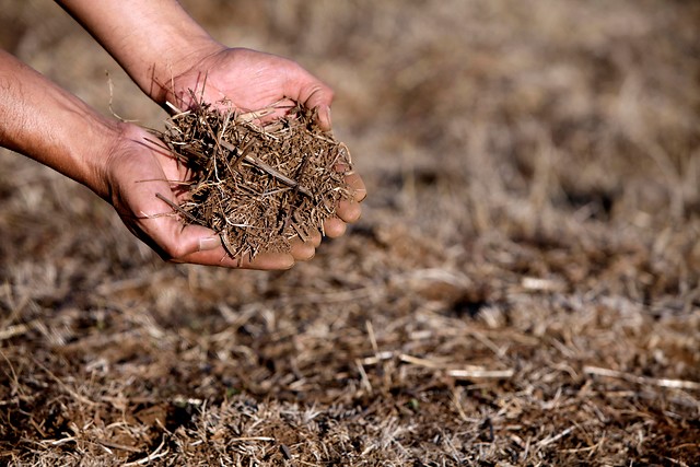 Agricultura compromete $3.000 millones para reparar canales y pozos dañados por los aluviones en Atacama