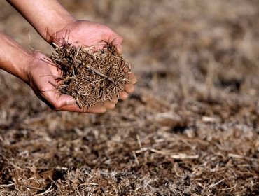 Agricultura compromete $3.000 millones para reparar canales y pozos dañados por los aluviones en Atacama