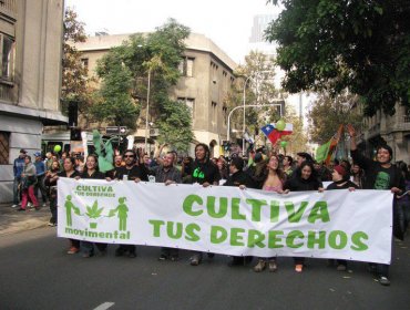 Comisión de Salud aprobaría el próximo lunes el autocultivo de marihuana para fines medicinales y consumo privado