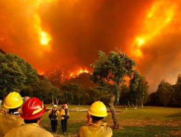 Incendio arrasa 4.400 hectáreas de bosques en el sur argentino