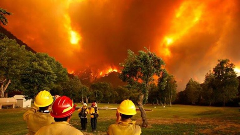 Incendio arrasa 4.400 hectáreas de bosques en el sur argentino